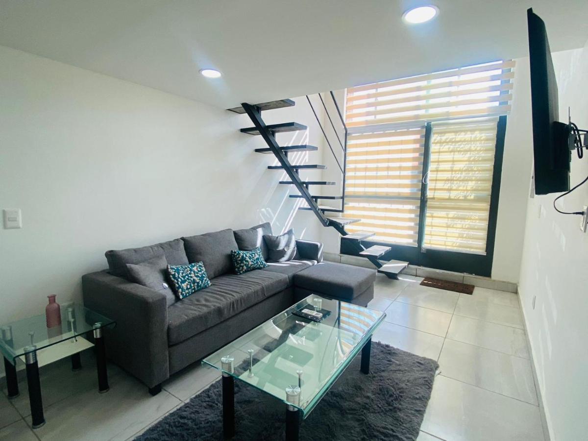 Hotel Morgan Residences Cabo San Lucas Bagian luar foto